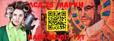 прущие грибы Можга