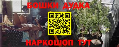 прущие грибы Можга