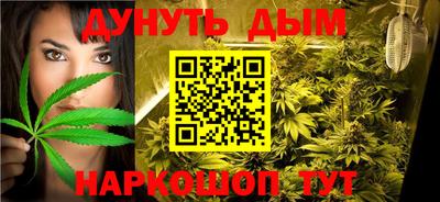 сатива Можайск