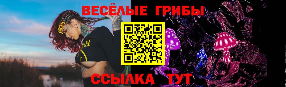 Подольск  Галлюциногенные грибы Cubensis  Вход с VPN 